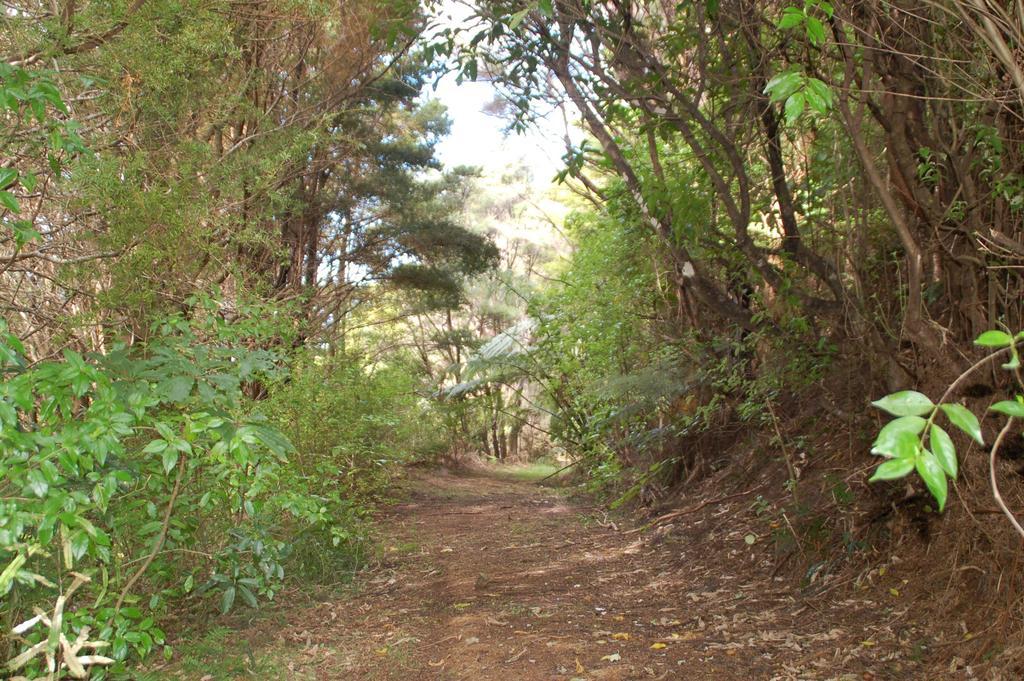 Kohinui Glade Holiday Cottage Parua Bay Extérieur photo